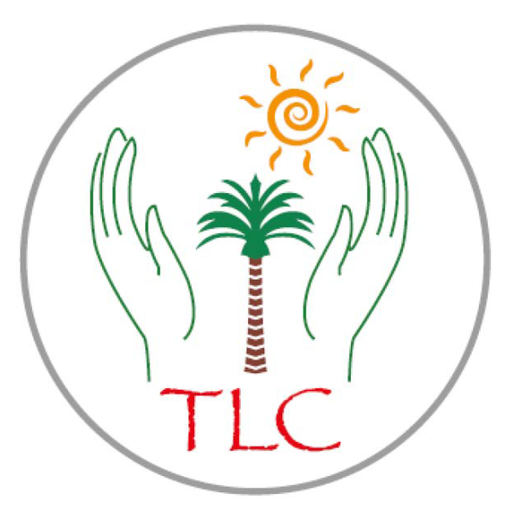 TLC School - Term 3 2025 - Engineering Planes (2025-04-14 - 2025-06-16)