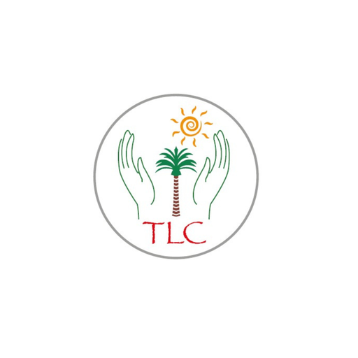 TLC School - Term 3 2026 - Introduction to Game Design (2026-04-06 - 2026-06-08)